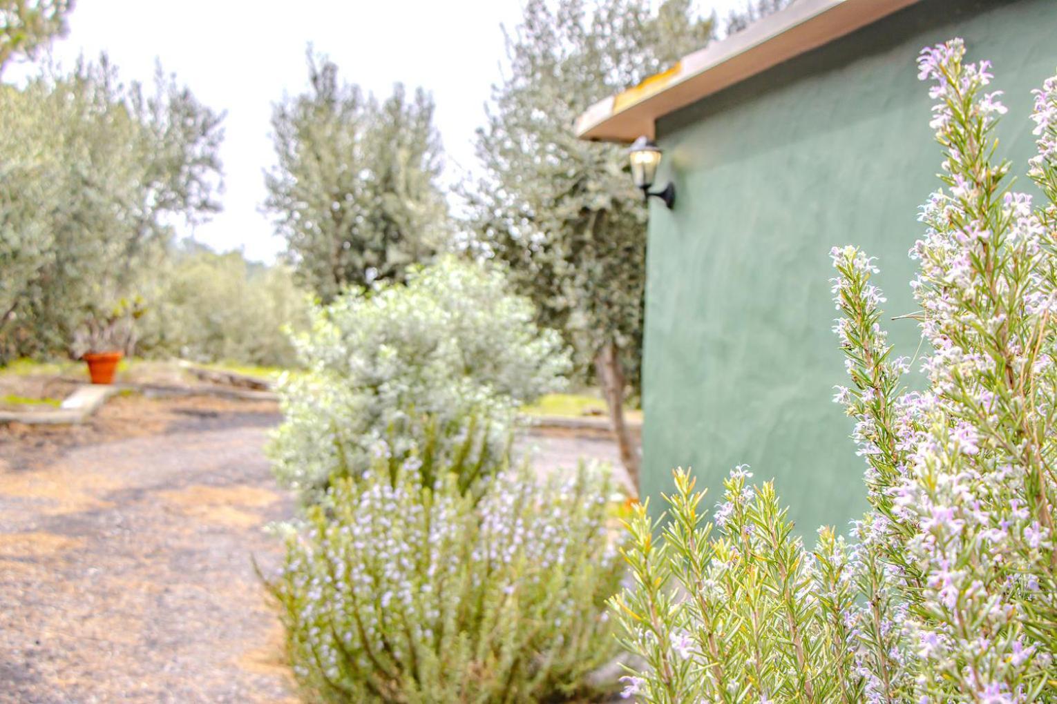 Vivienda Vacacional La Morada El Paso Eksteriør billede